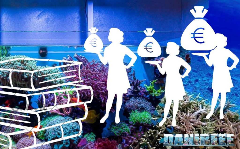 Parabole in acquario marino