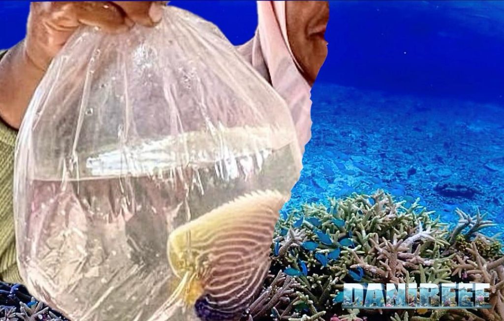 Parabola in acquario marino del buon samaritano