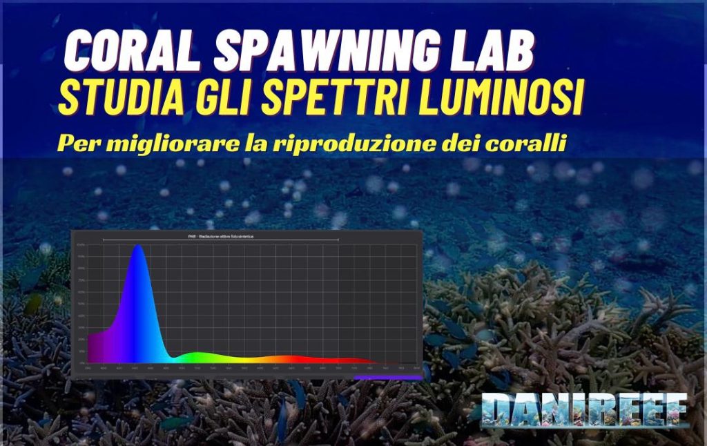 ricerca sugli acquari marini
