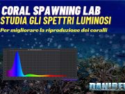 Coral Spawning LAB: ricerca sugli acquari marini