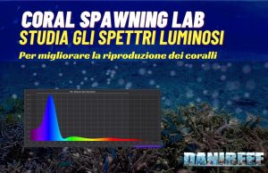 Nuova ricerca sulla riproduzione dei coralli con Coral Spawning Lab Coral Spawning LAB: ricerca sugli acquari marini