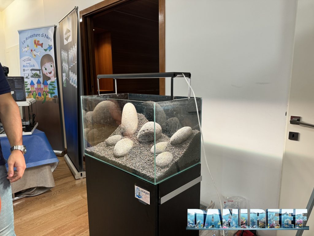 Nuovi allestimenti di acquari marini e dolci durante un evento acquariofilo