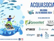 Acquasocial 24: video ed articolo del primo raduno social Acquasocial 24