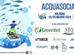 Acquasocial 24