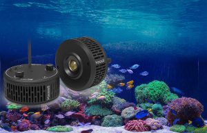 Il nuovo faretto Kessil A360XE: più potente che mai