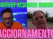 Ottavi di finale del Contest Acquario Marino: aggiornamento