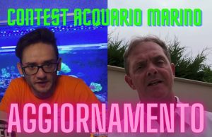Ottavi di finale del Contest Acquario Marino: aggiornamento