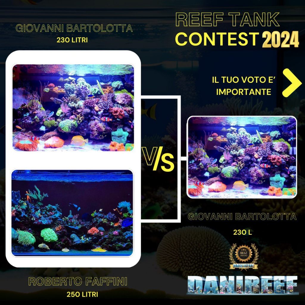 i risultati del contest fra Xtweezer e FaffoReef