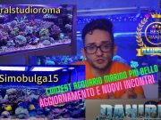 Contest Acquario Marino: risultati e nuovi incontri dei sedicesimi