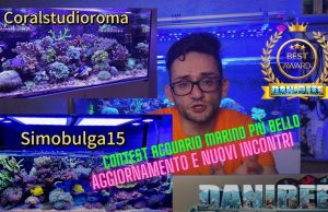 Contest Acquario Marino: risultati e nuovi incontri dei sedicesimi