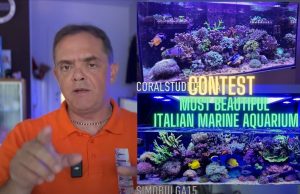 Contest Acquario Marino: risultati dei sedicesimi e prossimi incontri