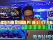Contest Acquario Marino: aggiornamento del 17 giugno