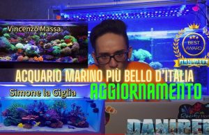 Contest Acquario Marino: aggiornamento del 17 giugno