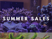 Daphbio: Sconti Estivi del 15% su tutto il catalogo