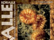 La storia dell’acquariofilia marina su Koralle Magazine 147