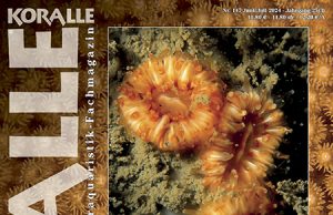 La storia dell’acquariofilia marina su Koralle Magazine 147