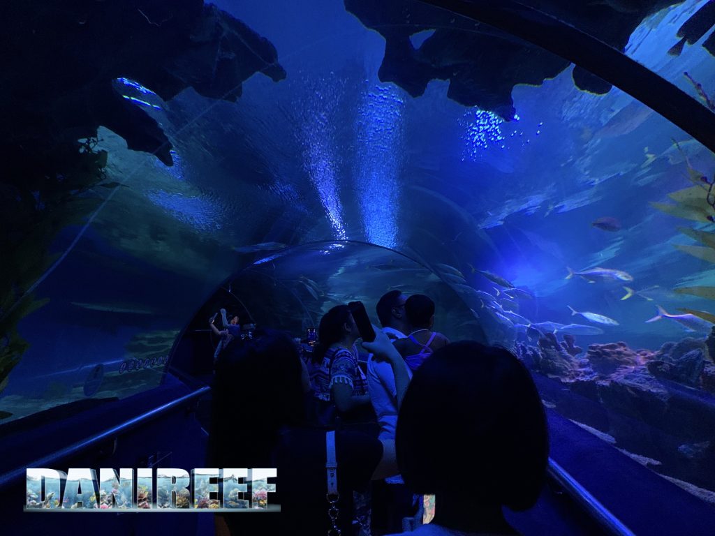 tubo sottomarino per visitare l'acquario