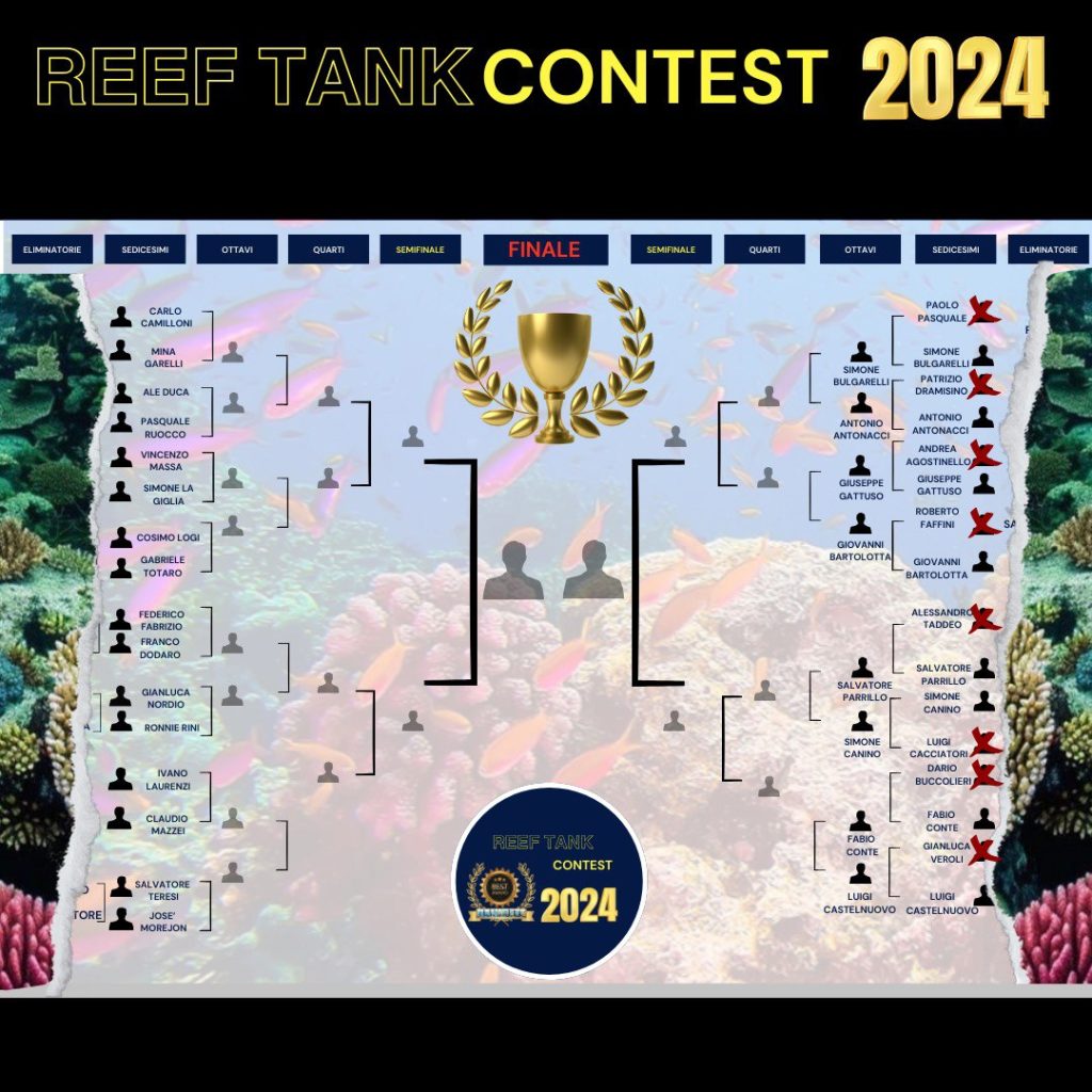 Il tabellone aggiornato del contest