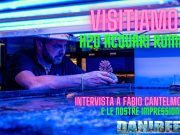 H2O Acquari Roma: visitiamo il negozio e la serra per importazioni