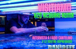 H2O Acquari Roma: visitiamo il negozio e la serra per importazioni