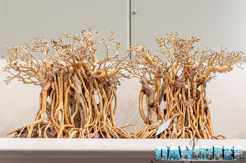 Un intreccio di radici per questa fantastica decorazione esposta da Aquadeco ad Interzoo 2024 Un intreccio di radici per questa fantastica decorazione esposta da Aquadeco ad Interzoo 2024