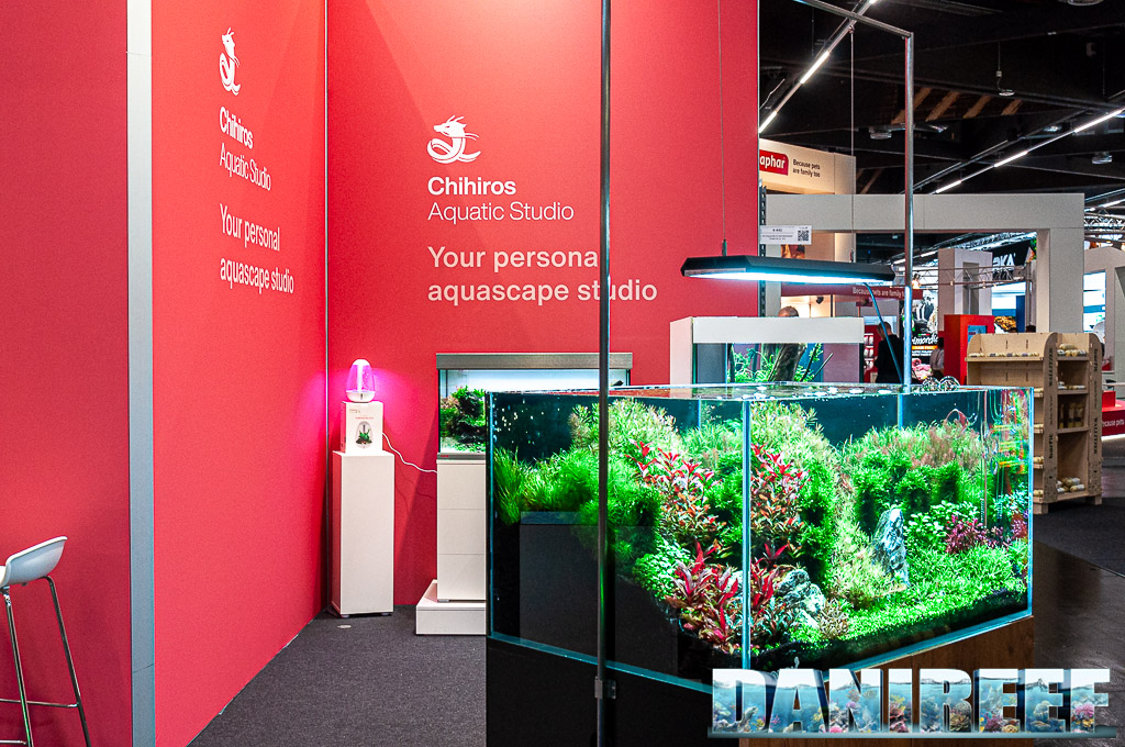 Uno splendido allestimento di acqua dolce all'interno dello stand di Chihiros Aquatic Studio Uno splendido allestimento di acqua dolce all'interno dello stand di Chihiros Aquatic Studio