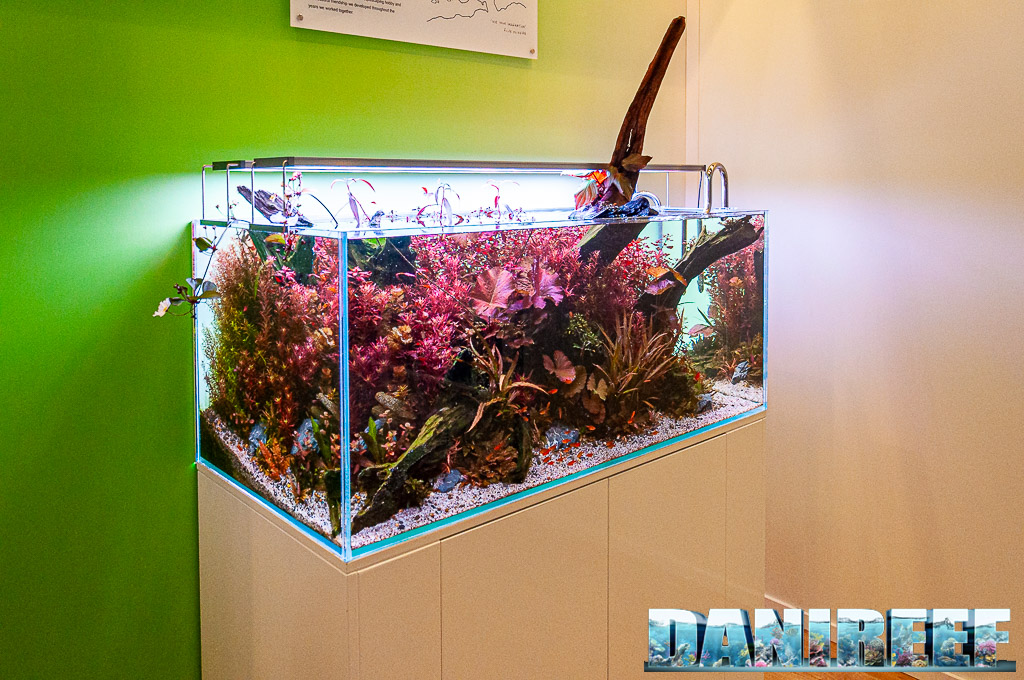 Aquascaping AquaFlora a Interzoo 2024