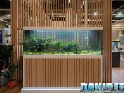 Gli incredibili acquari Aquatlantis che strizza l’occhio all’ambiente a Interzoo 2024