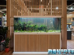 Gli incredibili acquari Aquatlantis che strizza l’occhio all’ambiente a Interzoo 2024