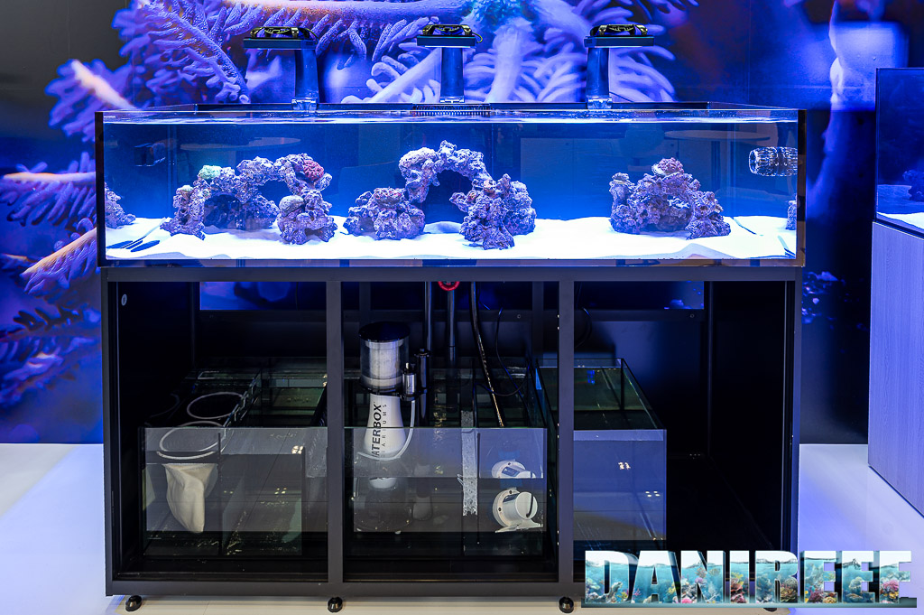 Acquario marino shallow con sump da Waterbox
