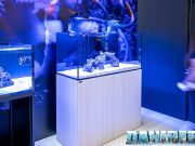 Gli spettacolari acquari Waterbox finalmente in Italia grazie ad AGP