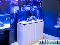 Gli spettacolari acquari Waterbox finalmente in Italia grazie ad AGP