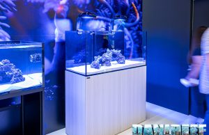 Gli spettacolari acquari Waterbox finalmente in Italia grazie ad AGP