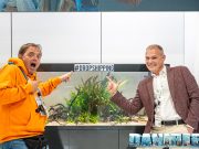 Amtra: Dropshipping and Services Revolutionize Aquarium Keeping