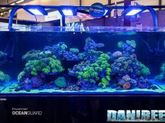 Il nuovo acquario oceanguard e tanti nuovi prodotti da Aquaforest