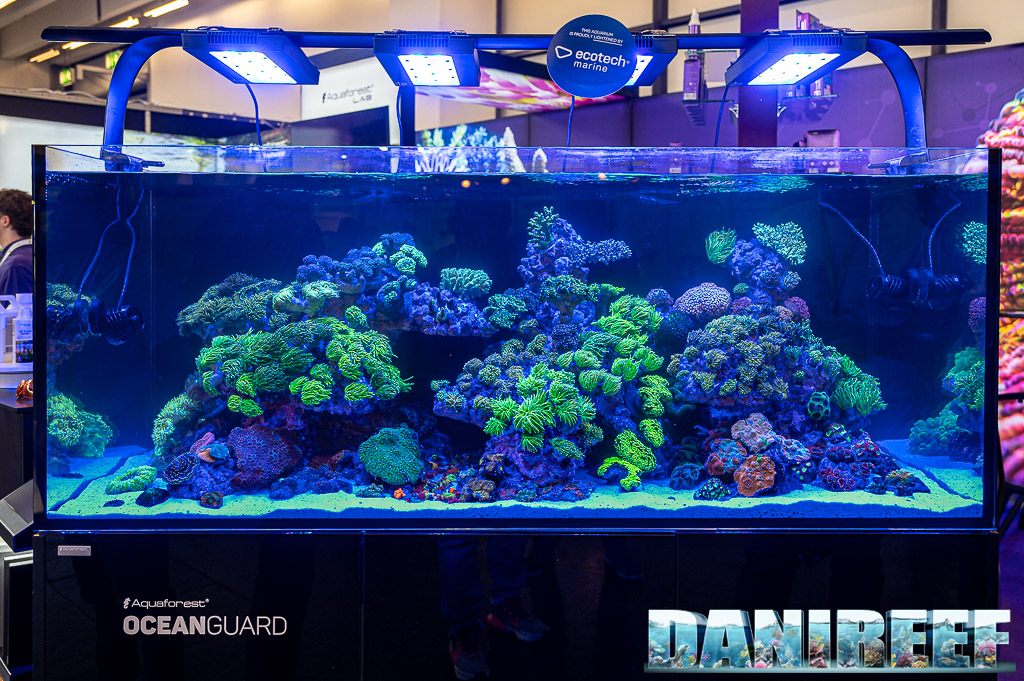 The magnificent LPS coral aquarium at the Aquaforest booth at Interzoo 2024