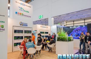Da non perdere: Dejong MarineLife e AquaFlora insieme a Interzoo