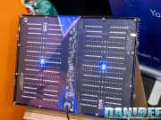 GNC si impegna per la Coral Restoration: intervista a Interzoo 2024