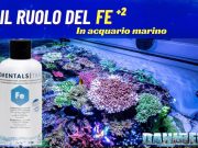 ADVANCED: L’importanza del Ferro +2 negli Acquari Marini L'Importanza del Ferro +2 negli Acquari Marini
