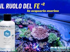 ADVANCED: L’importanza del Ferro +2 negli Acquari Marini L'Importanza del Ferro +2 negli Acquari Marini