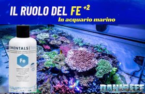 ADVANCED: L’importanza del Ferro +2 negli Acquari Marini L'Importanza del Ferro +2 negli Acquari Marini