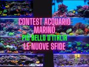 Contest Acquario Marino: le 4 sfide imperdibili di questa settimana