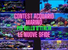 Contest Acquario Marino: le 4 sfide imperdibili di questa settimana