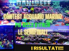 Le semifinali del Contest: vediamo vincitori e vinti