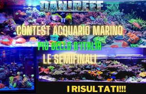 Le semifinali del Contest: vediamo vincitori e vinti