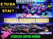 Contest Acquario Marino la finale: Xtweezer contro Khorru