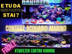 Contest Acquario Marino la finale: Xtweezer contro Khorru