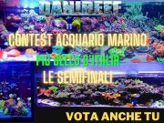 Contest Acquario Marino: i 4 semifinalisti e le 2 gare in programma