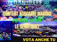 Contest Acquario Marino: i 4 semifinalisti e le 2 gare in programma
