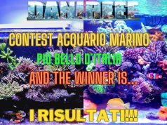 Estate 2024: i 7 articoli più letti su DaniReef che forse vi siete persi